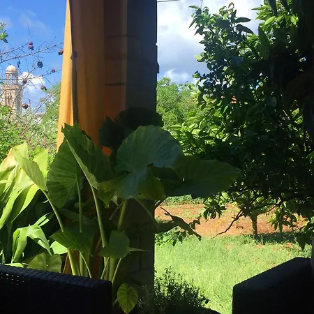 Lina Vrankovic Хвар